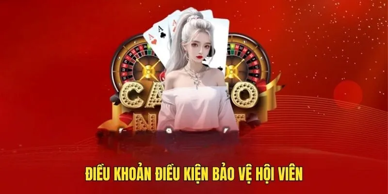 Các mục tại điều khoản và điều kiện quy định về phía khách hàng